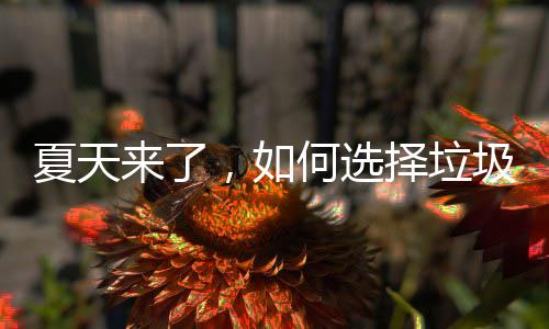 来了，如圾桶夏天择垃何选